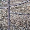 20dílná zahradní sada nářadí, odolný ohýbač větví ovocných stromů, nástroj na tvarování růstu rostlin