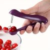 Snadno použitelný odstraňovač pecek z třešní a oliv – Odolný kov, prostorově úsporný design pro rychlé odstraňování pecek – Ideální na grilování a venkovní vaření