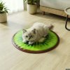 Chladicí podložka pro domácí zvířata – kiwi, pomeranč, meloun – 50 cm