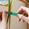 5m kotouč prémiového opakovaně použitelného nylonového rostlinného vázacího prvku