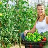 5m kotouč prémiového opakovaně použitelného nylonového rostlinného vázacího prvku