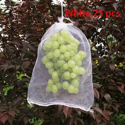 25 ks 20 cm x 30 cm Sáček na pěstování ovoce