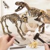 Dinosauří archeologická sada