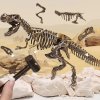 Dinosauří archeologická sada