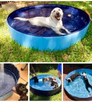 Přenosný bazén pro psy