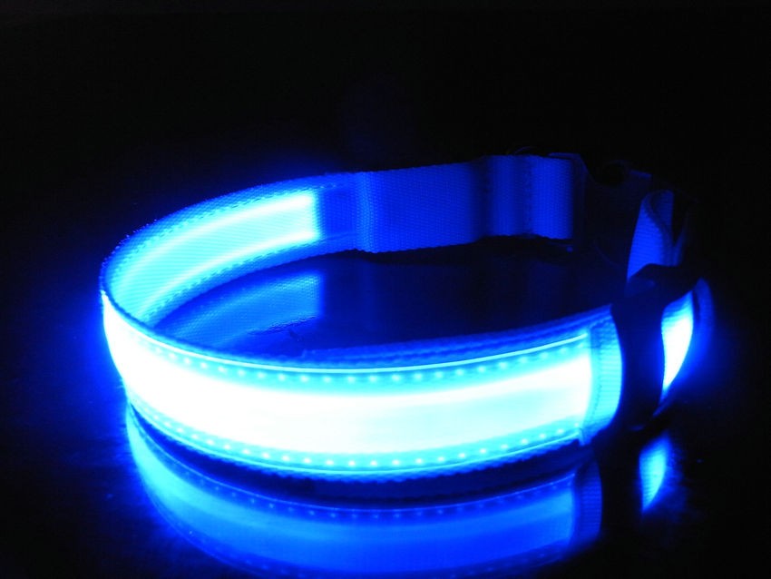 LED obojek Modrý L