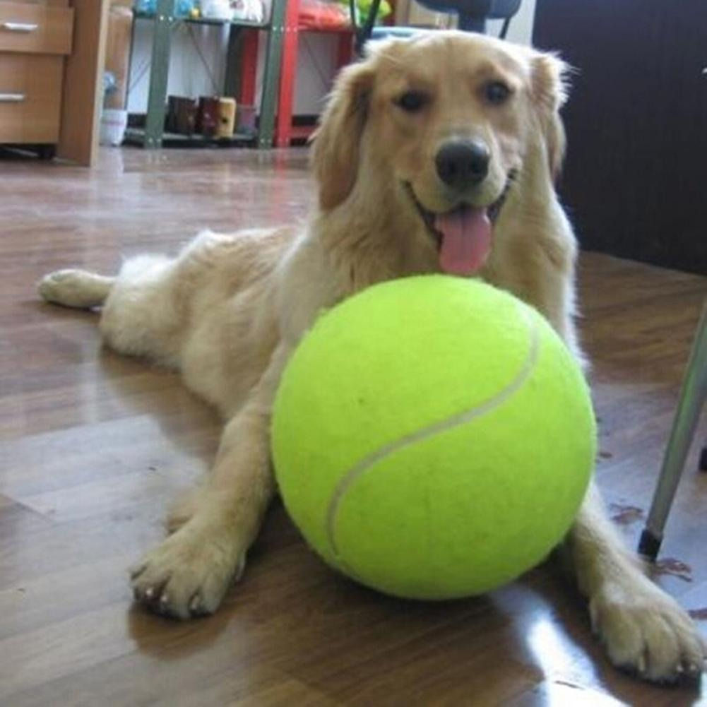 Obrovský tenisový míček pro psa (24 cm)