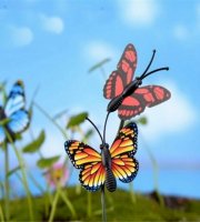 Zahradní motýl (50ks)