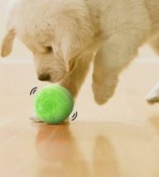 Interaktivní míček pro psy