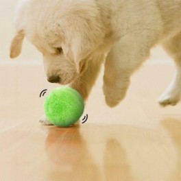 Interaktivní míček pro psy