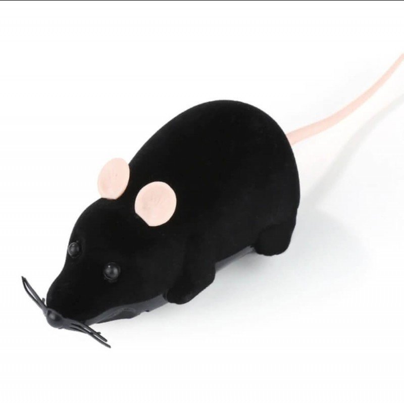 Hračka pro kočky myš na dálkové ovládání Černá s růžovýma ušima