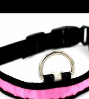 LED obojek Růžový XL