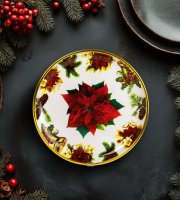 Vánoční talíř – plastový – vánoční hvězda – 22 cm