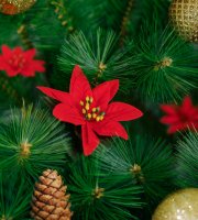 Vánoční dekorace - vánoční hvězda - 50 cm