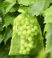 30 ks Ochranná síť na ovoce