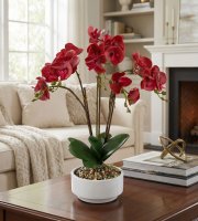 Umělá rostlinná dekorace - orchidej - 5 druhů - 56 cm