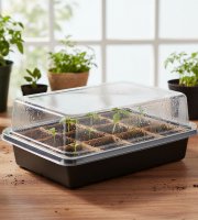 Sadbovací miska s průhlednou kopulí - 20 x 15 x 10 cm