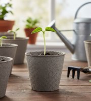 Květináč na pěstování sazenic – Ø8 cm – kulatý, papír – 10 ks / balení