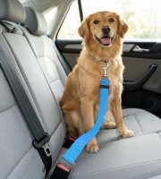 Autopopruh k bezpečnostnímu pásu – 45–70 cm, 3 barvy