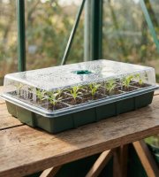 Sada na pěstování sazenic s víkem – 37 x 23 x 9 cm