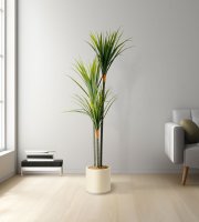 Umělá rostlina dekorace - Dracaena Marginata - zelená - 1,2 m