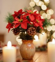 Dekorace poinsettia – se 3 květy a šiškou – tmavě červená – 34 cm