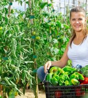 5m kotouč prémiového opakovaně použitelného nylonového rostlinného vázacího prvku